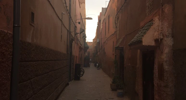 image_8917611181529079355359.jpg?type=w773