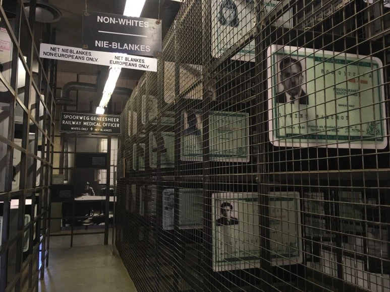 IMG_7327.JPG?type=w773