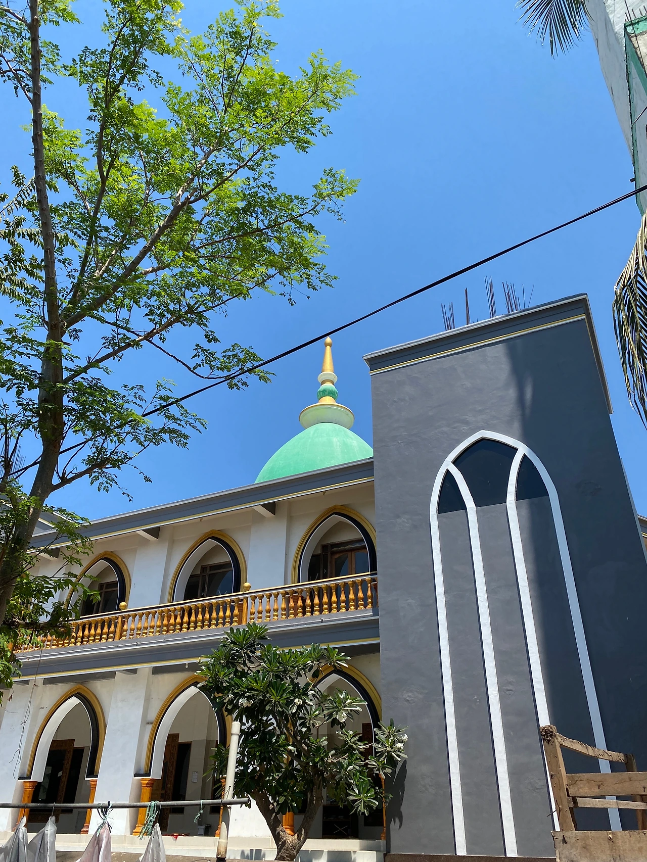 20230930_Gilli T42.JPG