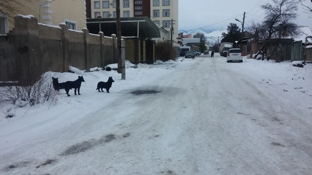 1Hsvq9CvDOW0bPxRDCKUGwo3wst4etNMTXehIVSUH_wK9_jSkJlhv_WKsfsEYJb6r93HK0rDMq53zYyEkCUAKzbYrkg4B4-VKIyb7gdo9SQGol7NRKvMbLUqY4rjdpvWA6V-S9n0uXqDLPa5T1gplgbwda4Pk0uVHYoW38t8V0BC2HPqUV4JpLFhGDrKVvNnHfy2U0ypr7QGnRDUxybLUgmylVgEjgV0BMB0MlY-oMP7nh__3RO727KA81NNHZQK4ibKt9MEZ_4MDgv1HZbd5AMje4iUJdk_QJmm_Nr_Wslc8PowgDxrDQKFcQuv12YmjleLyegtGNUrbxuVICHP-OvLjLI2jzhOTZ00RBsZddTCwnHIgOt_kqI9olMSr7E7VUPFRpZjWi2okxDaBXFbRe0EtZM5hO-b_wl6xVaEyFVIA5MZEW4ixAFN5rVk2C9rte408xOwEUVB_tLsqLTGcTgZ14giWA_UmknZ0dw0iWwtVYZeYZO8YNFI6NwV_Foirv_yzjdpT-7887vbdt1oabRKqeMSvm3Jgp3Bq29RROWIJQVKii4TWSQN4pyHNJcD80oE07P9pkuQkQkcdR3R0F-tx9YrGjEIeGz1Xh3pAtr9Ve88YMqxmw=w1048-h589-no