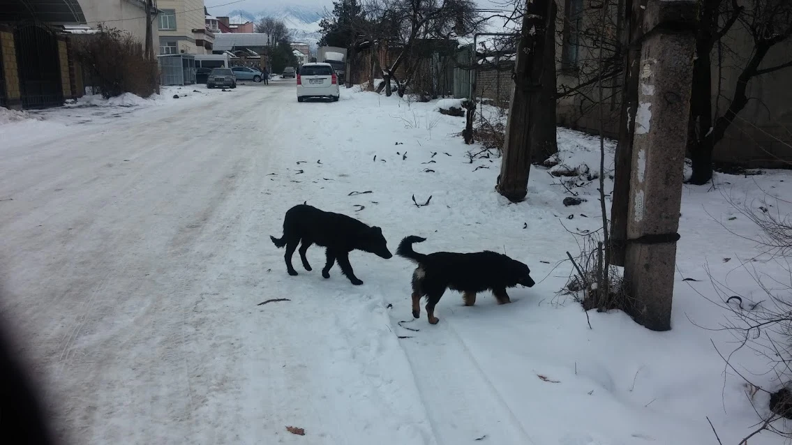 zs79uTFIQ7pcKQcypEAaBD0eF1iGmpTW0IZ6MXRnkcoO5EuCgyimBg6eTLligUJNvMFicgtTSgKVNqaFV-ZeMpmmaCc9FY2yJROhk-fC_RxrlW-w5dWJGLHRBVBjrRSUR84X-LkhUUw23WGyagVmPPCi9lEBxIGiWTMwo5Q5A3CLvqFm8IbjHt9YiHhAF6_OuAOei1fohXwQHVQ0e4ZzlhQhixYozrZbVid-T0pzavC4vGmioWzfCY_pqjNsk2XfIfDkhfLBV-4akRMXBiDMWW5TKbVDbz1Q5BhDEXx9MLu1SAL9AeCgJBq7p9L78SDeB8uv6jW4vXwuV-62q6fB3meHExXQ3jtNU9_WU1gglQzm5tniTsceDG_HBYfNvMJZRZdSsZcSGPsfH4wZR6VARFZch_Fn9dUJHolKBe1fAHsvk5SWKWruwbmAgrBo1cZIjium5L_jcn-7txEEUzDy3m606xASvB2Yh9rR-Xb3nYpzfDZBjwwfWvIzs8c_z41fBmI2y67Ln00dfMBv6fLq5gizyqKEwjlDIXS5YrXU5-H5C_8Xysb3X5OmeP4NCb8aEU5lHB6cV77JpKK_pdiCus0fx_fqWeK0pi_lKFp8N2EM4h4iDo_-Iw=w1135-h638-no