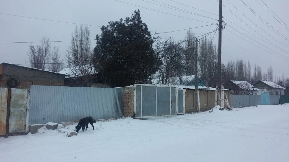 ekXtopknlFg-SbgLqF3yBiUsW-1S9OOOvuh61e108Cua0A32cwuQO6fk3LnWxvRniZbSxCVwNvnwG0PmTIy6yjjZEjgAeTZ8vFS_yMfY0K2J20XcHw9iNiMDLg9k_gUX6RrrjQieSyx2vhmKwCmCKTLbM8VoXXqB6cf2IzfE9AeoqeD2uApLu-Bpvzk4kF-92JSpOJ0pxw_2fl4xt6Jn5ZPe3O_KVjz4wgPhPSApzErj33JmZiXLkWuNjylAFAbBhTXghTmEo3-3HNFIq9DgrYxm_nRJS-gRXCQfwG1Xqbt_d5gsxrMvDQBnnUYalF_OiusrCHk8He6XrtAxXfWXTg_uFfctBYIvWIbgNH-C_SKX7kHnHLvcj2dB_x_FU4D9mleTytFraqWztBNZLY_CE0jgvEPuCECxFdF0ir-b5FlaP67tRzEDQffTKkoyIwsD0oZP5FGHo1yN5gArQ_Ft4gcWKGnDwDHdVM0j5xcuMwgL6ftx5tJntIvdZY-2fpubp_Ptk14_PtUgxrRf6aXRNhQwzA4nXQM72hUKyO614YLFGK8s5oT3HNUMDq-NR5w500uQRBP_7jn3GI5MMs5P2Nl5lojU9nE1NDJ51nbLlEnrMFGpjt833Q=w1135-h638-no