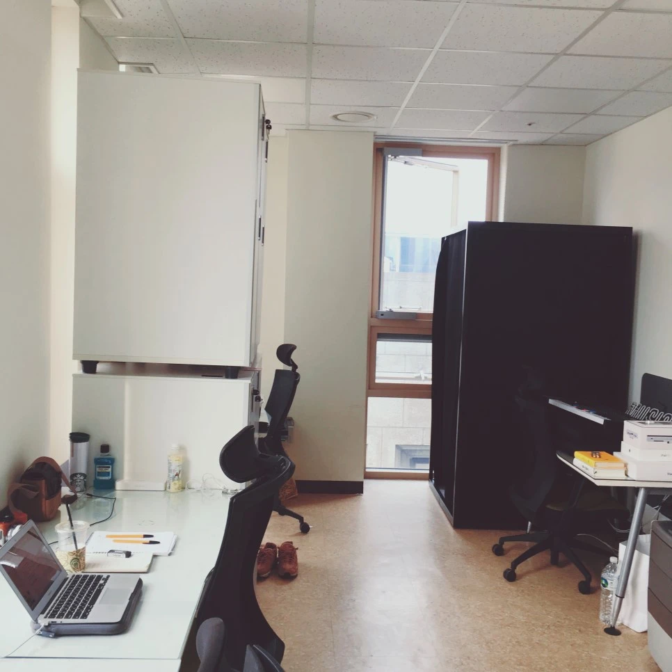 image_3823365021526370205474.jpg?type=w966