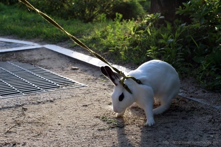 IMG_4026.JPG?type=w2