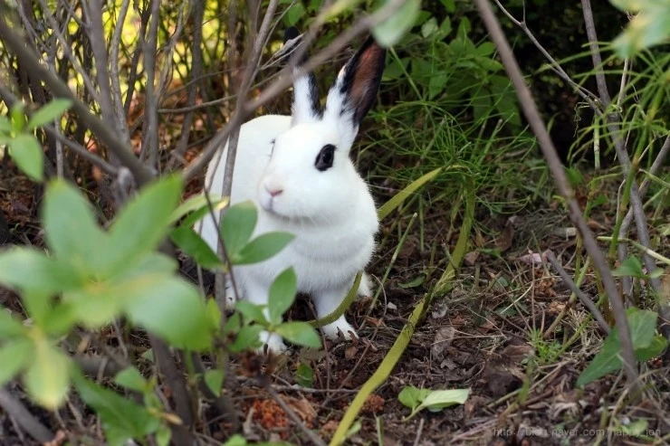 IMG_4107.JPG?type=w2