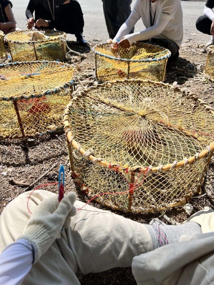 66867f207d49f.jpg?imgSeq=29689