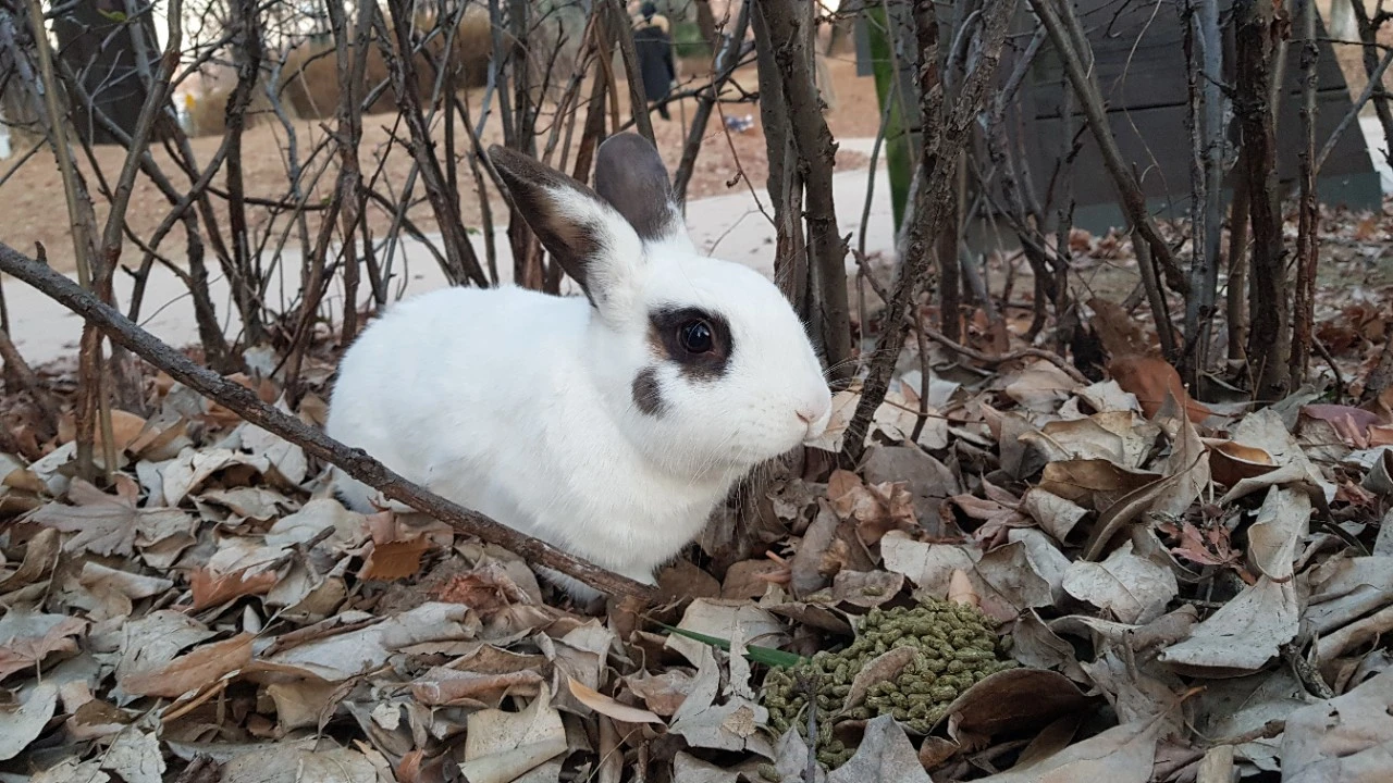 20201225%EF%BC%BF170715.jpg?type=w1600