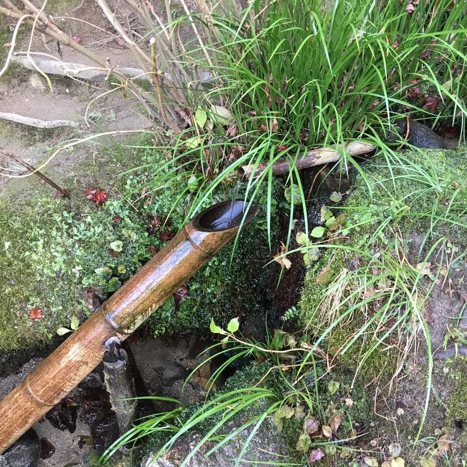 %EC%8B%9C%EC%84%BC%EB%8F%84-6.jpg?zoom=1.25&amp;resize=700%2C700