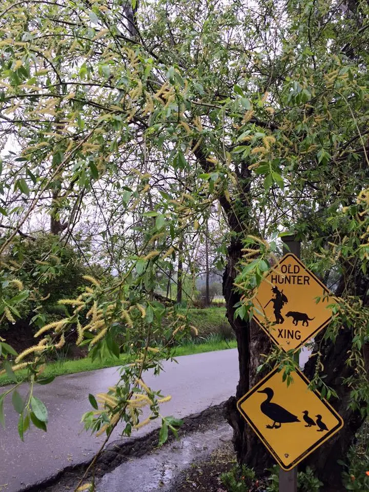 %EC%83%A4%ED%86%A0-%EB%AA%AC%ED%85%94%EB%A0%88%EB%82%98-4.jpg?zoom=1.25&amp;resize=700%2C933