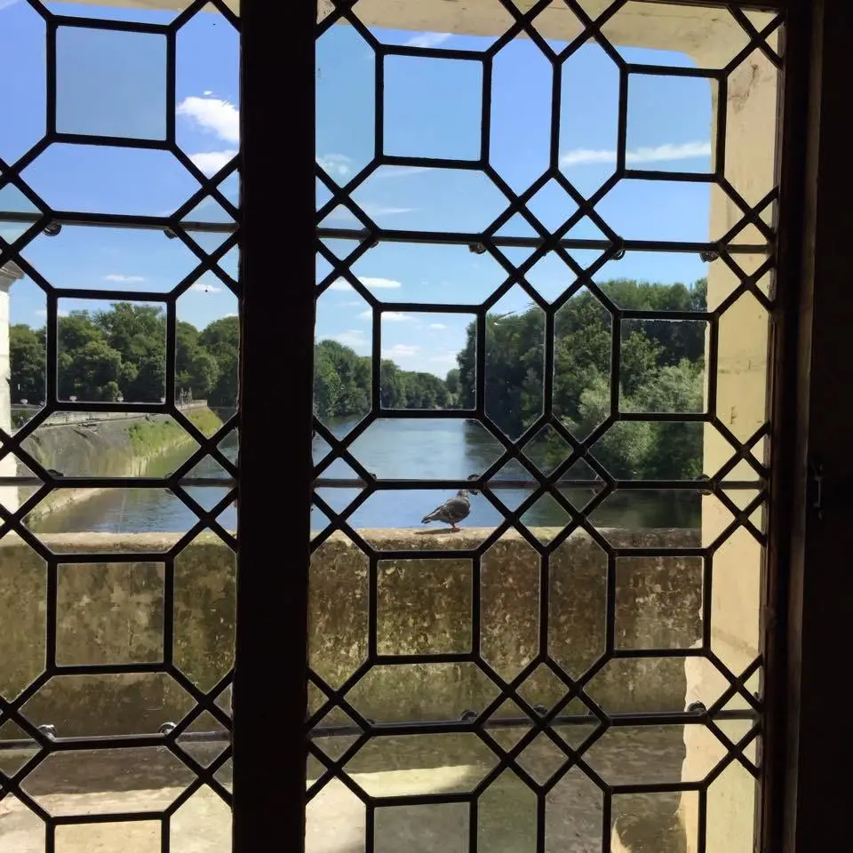 16_n.jpg?zoom=1.25&amp;resize=700%2C700