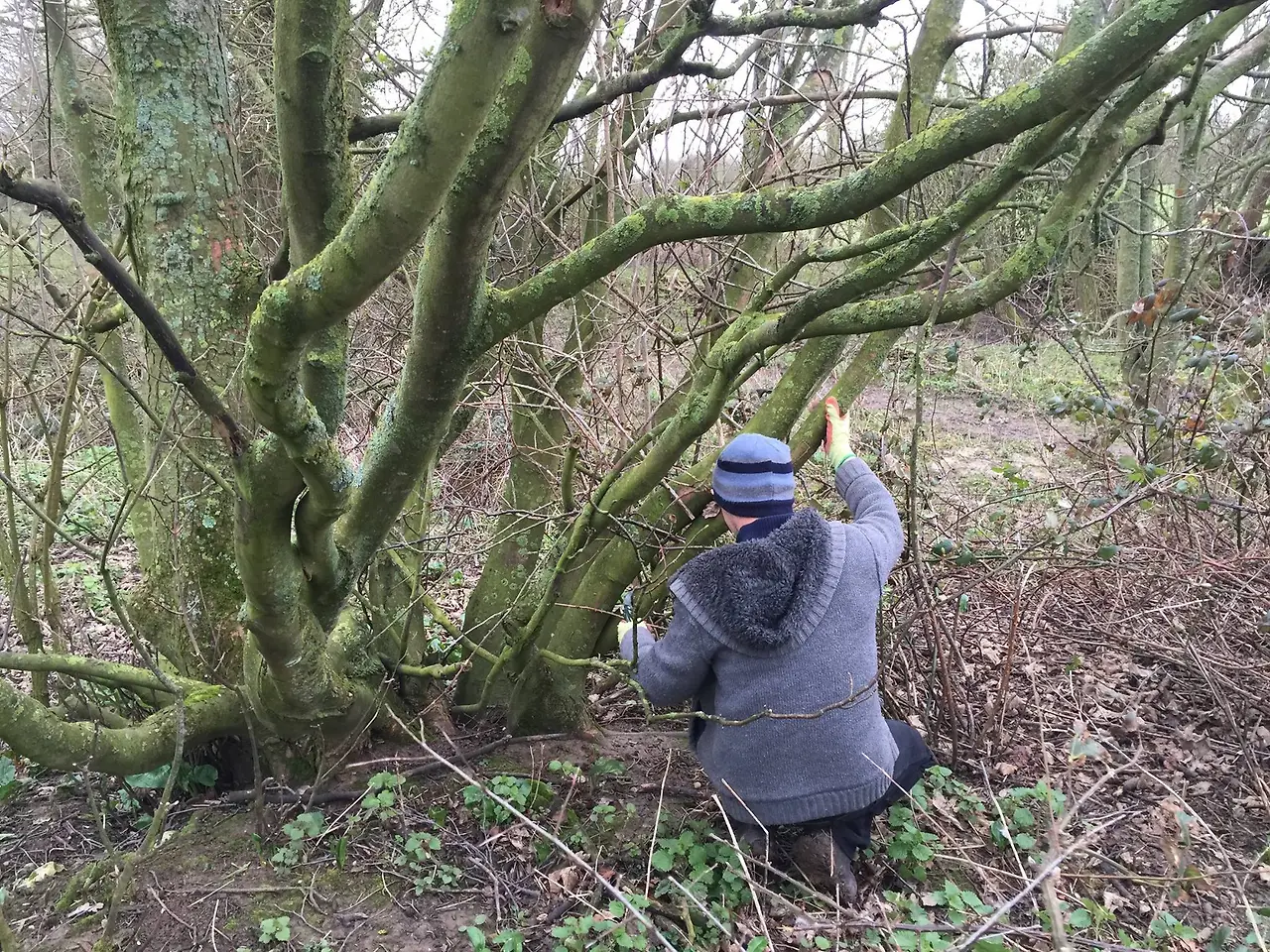 %EB%AA%A9%EC%88%98.jpg?zoom=1.25&amp;w=700