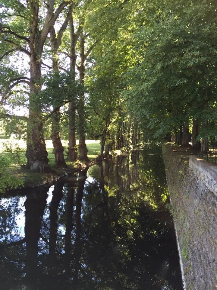 17_n.jpg?zoom=1.25&amp;resize=700%2C933