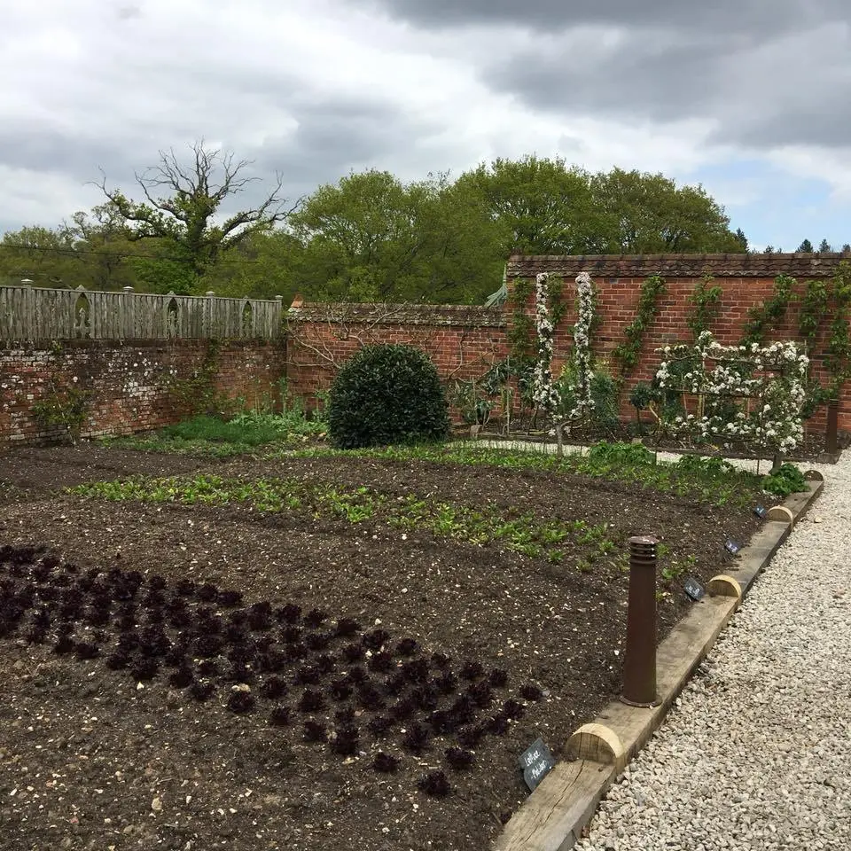 the-Pig%E2%80%99%EC%9D%98-%EC%82%BC%EC%8B%9C%EC%84%B8%EB%81%BC-15.jpg?zoom=1.25&amp;resize=700%2C700