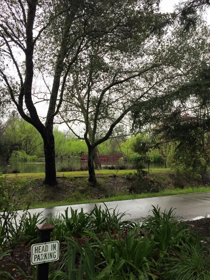 %EC%83%A4%ED%86%A0-%EB%AA%AC%ED%85%94%EB%A0%88%EB%82%98-3.jpg?zoom=1.25&amp;resize=700%2C933