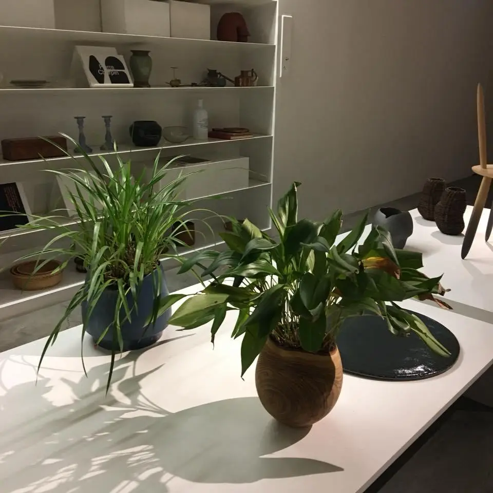 %EC%8A%A4%ED%8E%98%EB%9D%BC-%EB%B9%8C%EB%94%A9-6.jpg?zoom=1.25&amp;resize=700%2C700