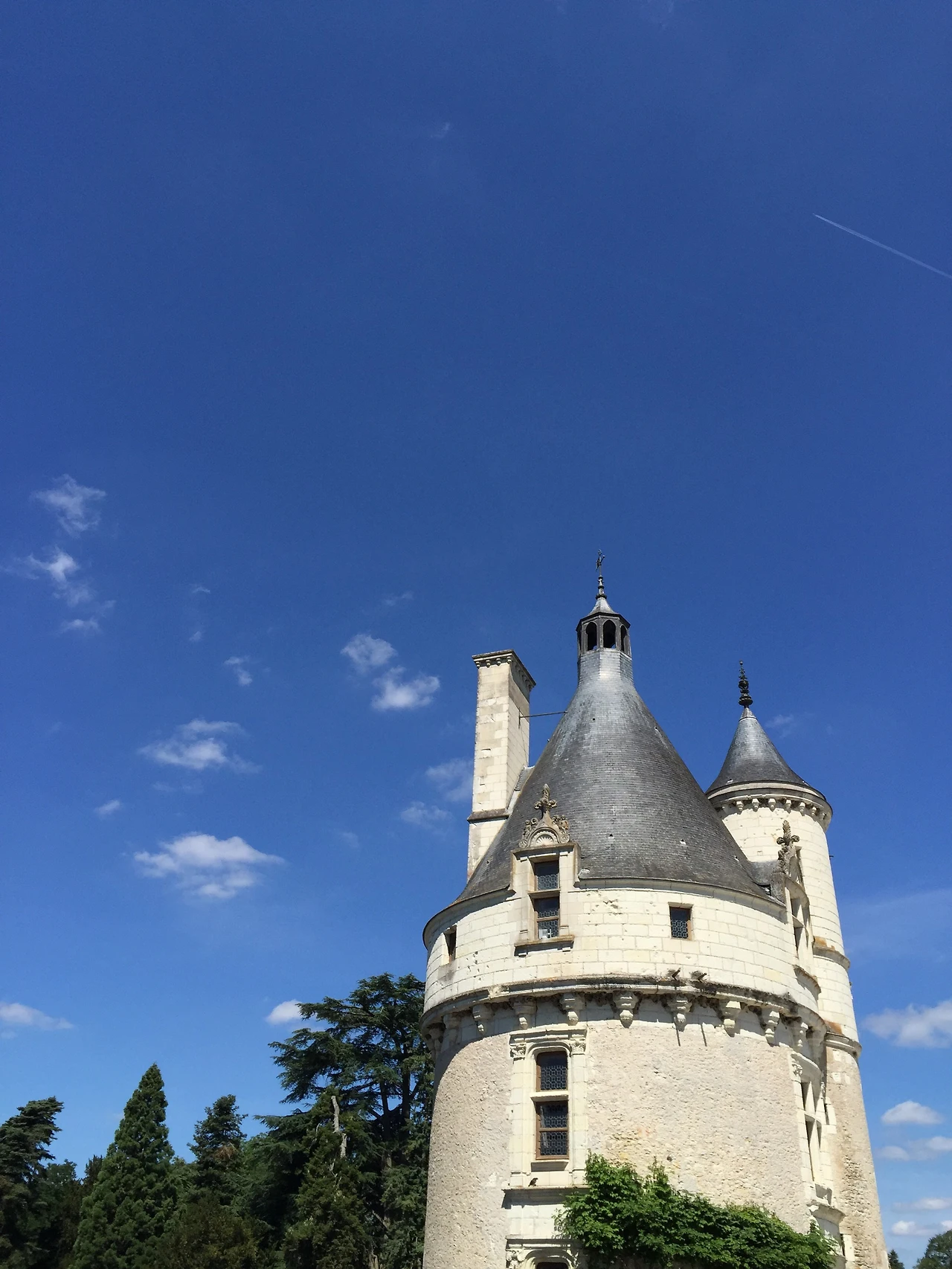 IMG_0258.jpg?zoom=1.25&amp;resize=700%2C933