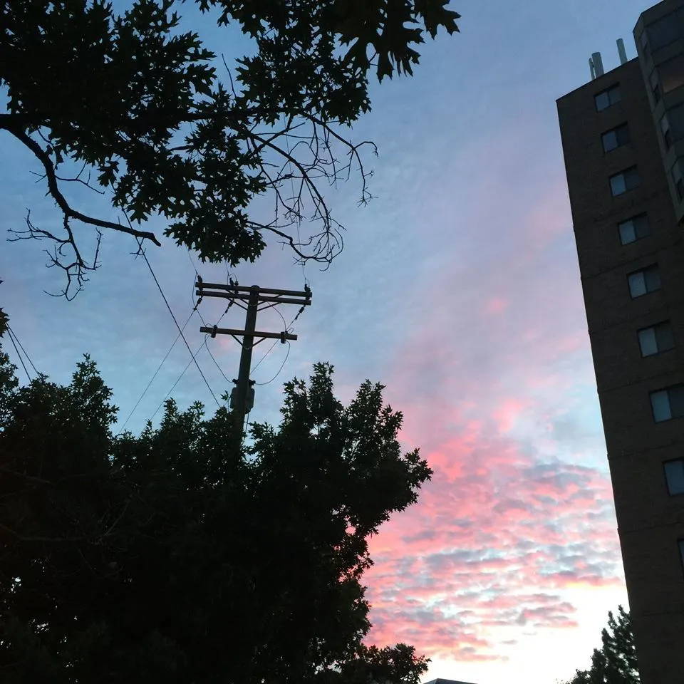 %EB%B2%84%EB%B2%88-%EC%9C%84%EC%8A%A4%ED%82%A4-10.jpg?zoom=1.25&amp;resize=700%2C700