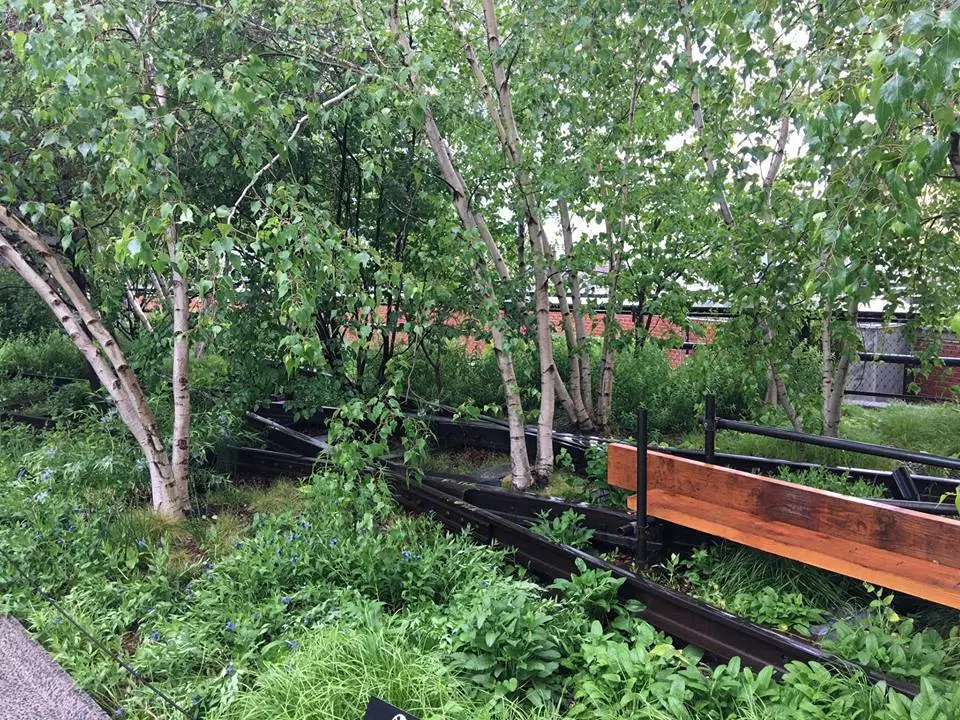 %EB%89%B4%EC%9A%95-%ED%95%98%EC%9D%B4%EB%9D%BC%EC%9D%B8-12.jpg?zoom=1.25&amp;w=700