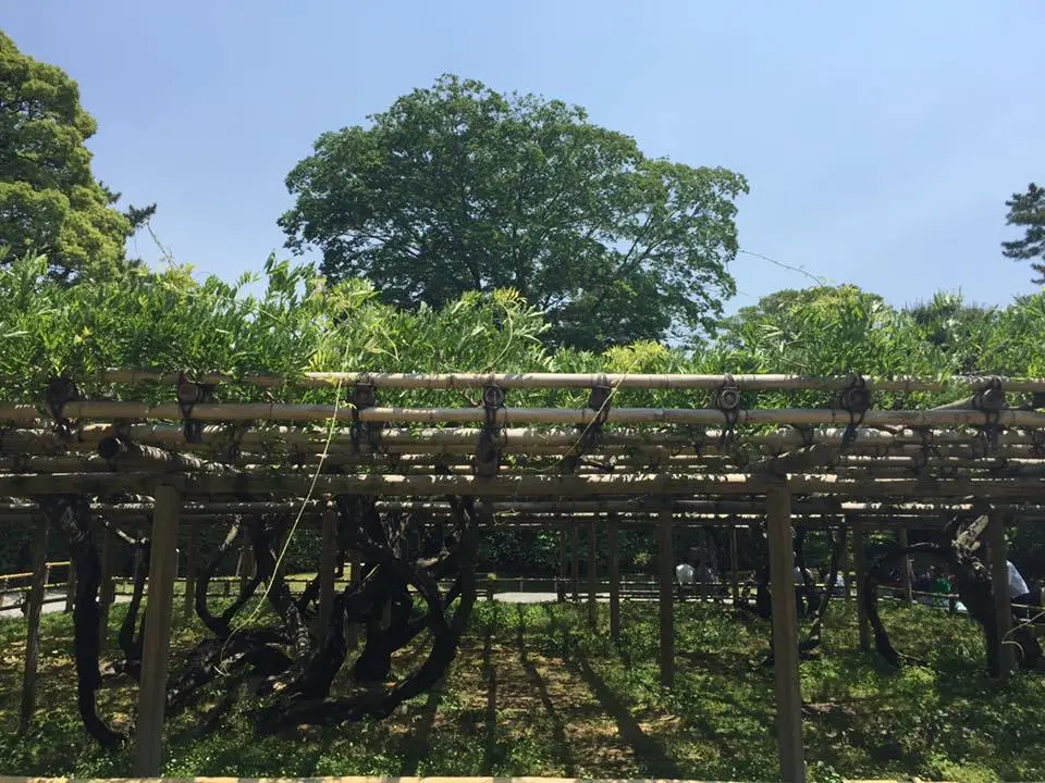 %EB%B5%A4%EB%8F%84%EC%9D%B8-5.jpg?zoom=1.25&amp;resize=700%2C525