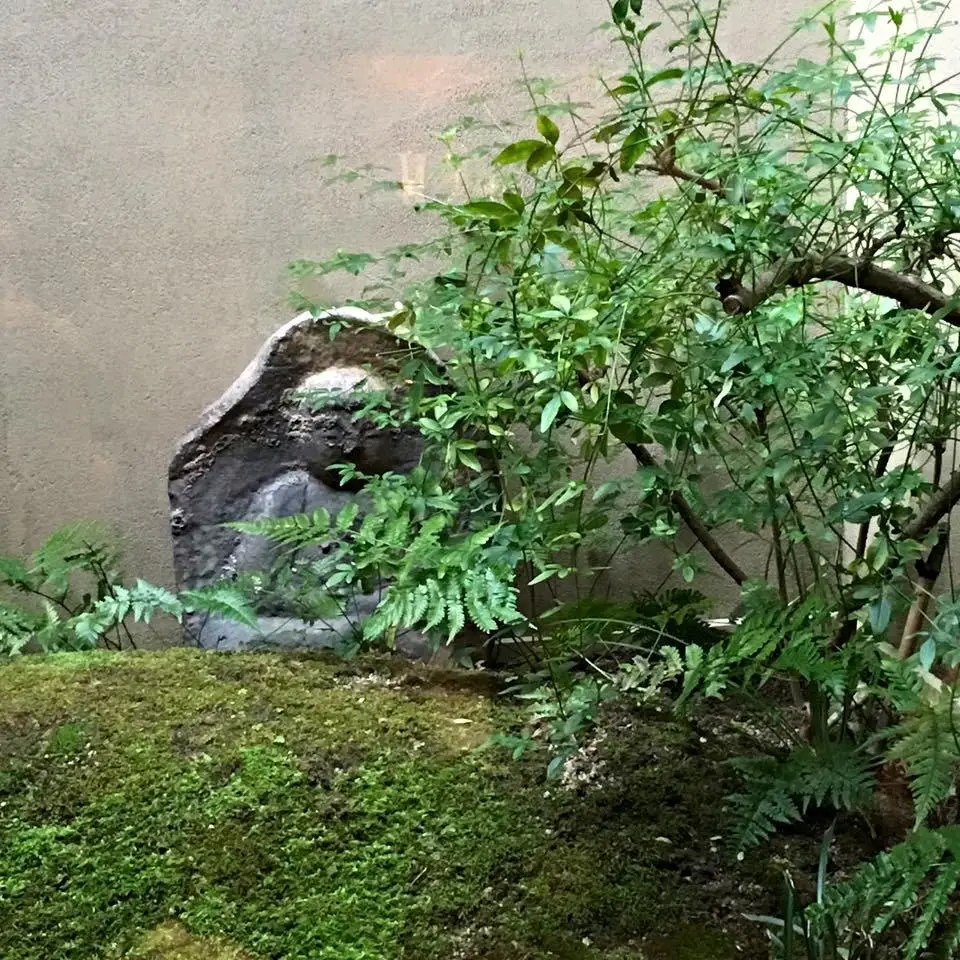 %EC%82%B4%EB%A1%B1%EB%93%9C%ED%85%8C-3.jpg?zoom=1.25&amp;resize=700%2C700