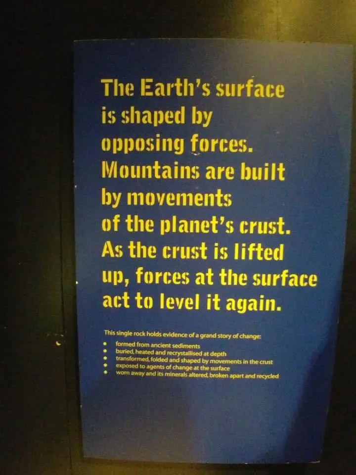 %EB%9F%B0%EB%8D%98-%EC%9E%90%EC%97%B0%EC%82%AC%EB%B0%95%EB%AC%BC%EA%B4%80%EA%B3%BC-%EC%82%AC%EC%9D%B4%EC%96%B8%EC%8A%A4%EB%AE%A4%EC%A7%80%EC%97%84-2.jpg?zoom=1.25&amp;resize=700%2C933