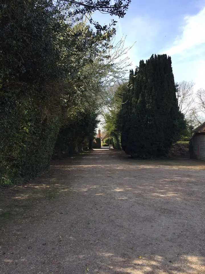 %EB%8B%89-%EC%9B%B9%EA%B3%BC-%ED%97%9B%EA%B0%84%EC%97%90%EC%84%9C-%EB%B3%B4%EB%82%B8-%EC%9D%B4%ED%8B%80-13.jpg?zoom=1.25&amp;resize=700%2C933