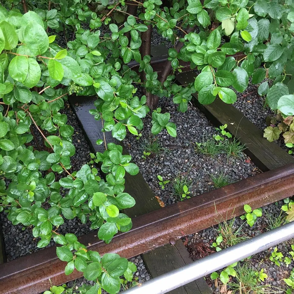 %EB%89%B4%EC%9A%95-%ED%95%98%EC%9D%B4%EB%9D%BC%EC%9D%B8-4.jpg?zoom=1.25&amp;resize=700%2C700