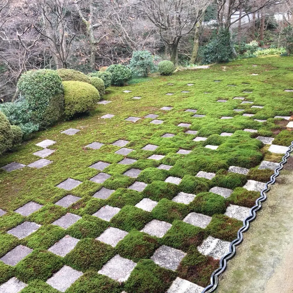 %EB%8F%84%ED%9B%84%EC%BF%A0%EC%A7%80%EC%9D%98-%EC%B2%9C%EA%B5%AD-%EA%B0%99%EC%9D%80-%ED%92%8D%EA%B2%BD-8.jpg?zoom=1.25&amp;resize=700%2C700