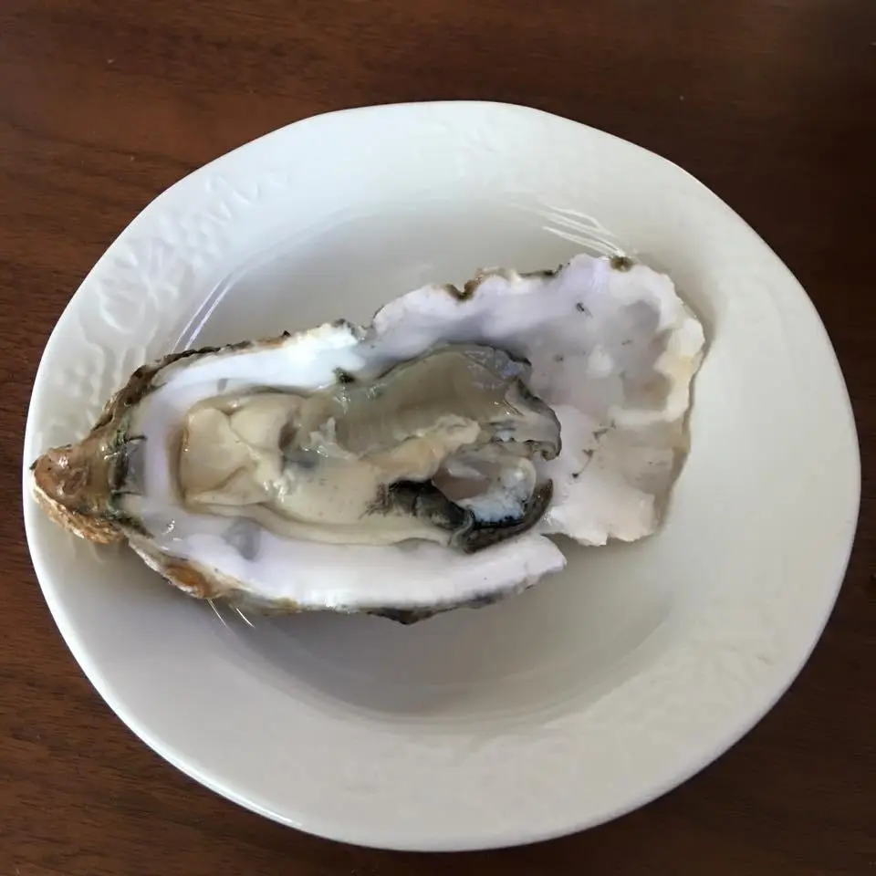 %EC%8A%90%EB%9E%8C%EC%8A%A4%EB%B2%84%EA%B7%B8-2.jpg?zoom=1.25&amp;resize=700%2C700