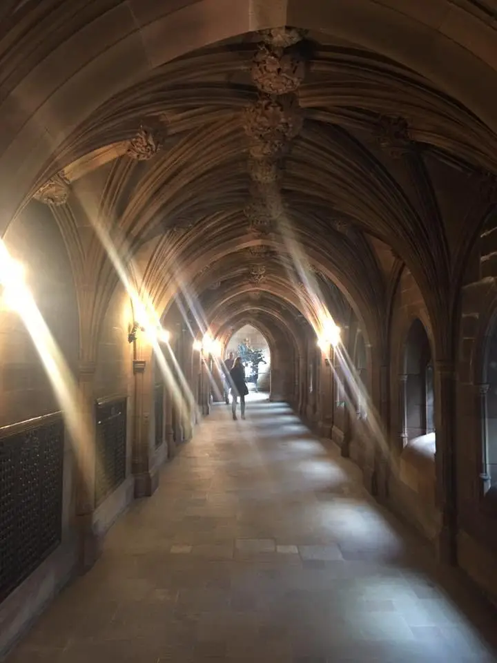 %EC%A1%B4-%EB%9D%BC%EC%9D%BC%EB%9E%9C%EB%93%9C-%EB%8F%84%EC%84%9C%EA%B4%80-7.jpg?zoom=1.25&amp;resize=700%2C933