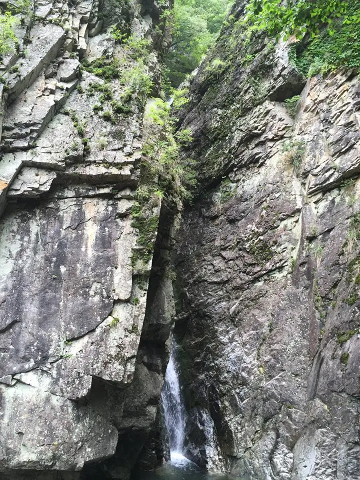 %EB%AC%B8%EA%B2%BD%EC%83%88%EC%9E%AC-5.jpg?zoom=1.25&amp;resize=700%2C933