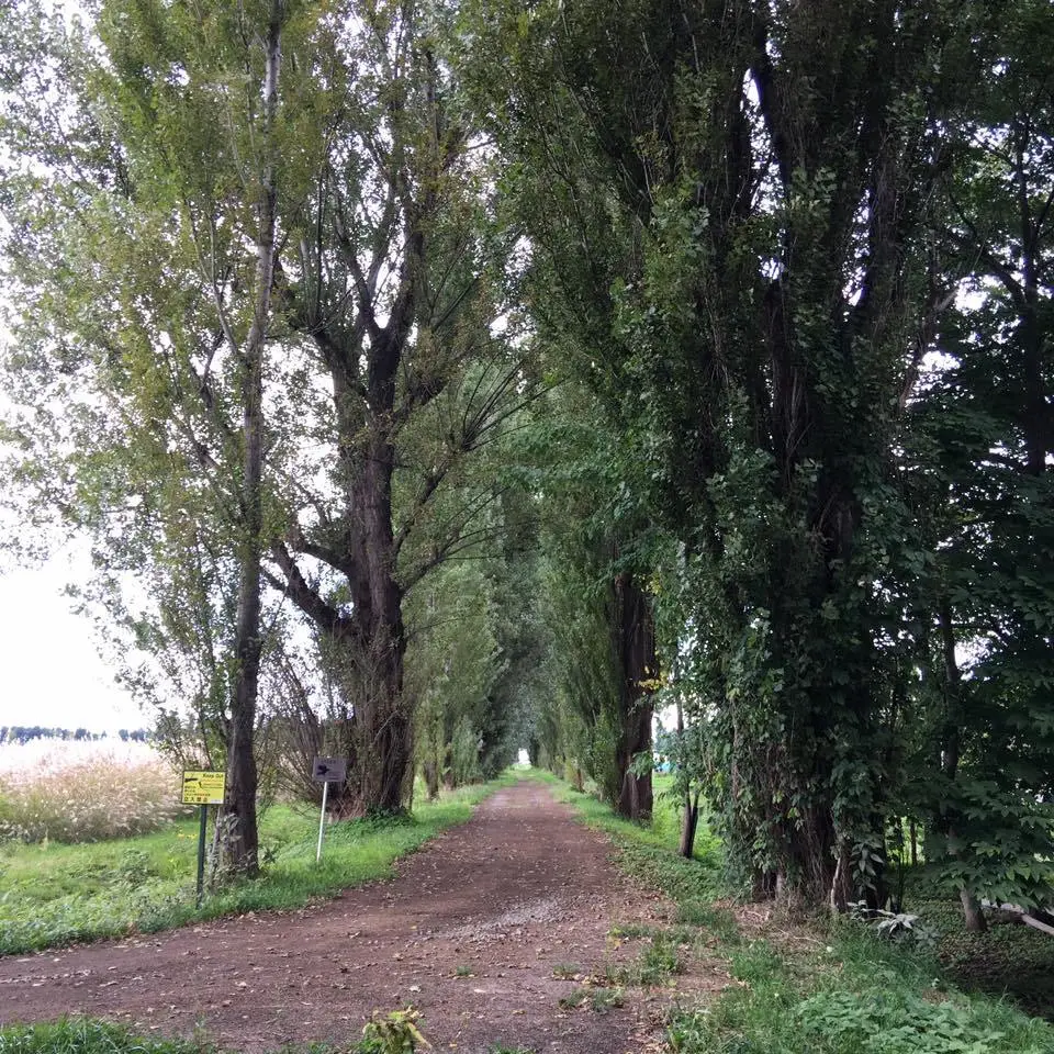 %ED%99%8B%EC%B9%B4%EC%9D%B4%EB%8F%84-%EB%8C%80%ED%95%99%EA%B5%90-4.jpg?zoom=1.25&amp;resize=700%2C700