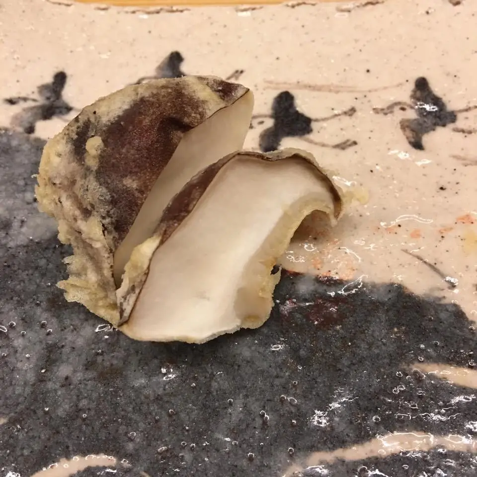 %EA%B3%A0%EC%9D%B4%EC%A6%88%EB%AF%B8-9.jpg?zoom=1.25&amp;resize=700%2C700