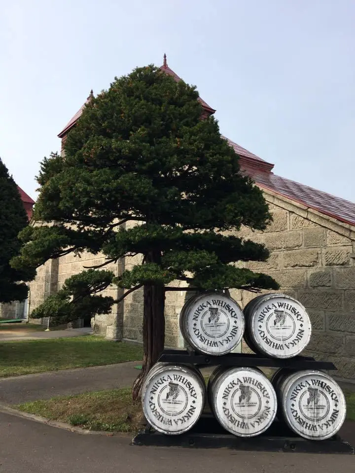 %EB%8B%88%EC%B9%B4%EC%9C%84%EC%8A%A4%ED%82%A4.jpg?zoom=1.25&amp;w=700