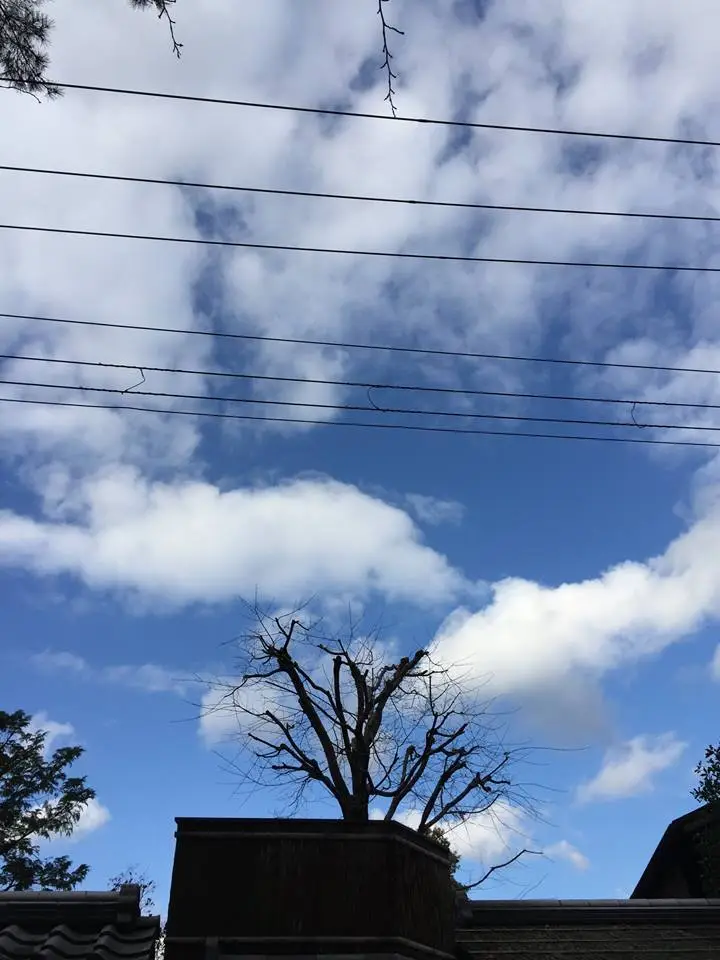 %EC%9A%B4%EB%8F%99-5.jpg?zoom=1.25&amp;resize=700%2C933