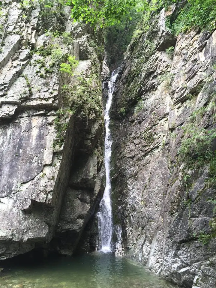 %EB%AC%B8%EA%B2%BD%EC%83%88%EC%9E%AC-4.jpg?zoom=1.25&amp;resize=700%2C933