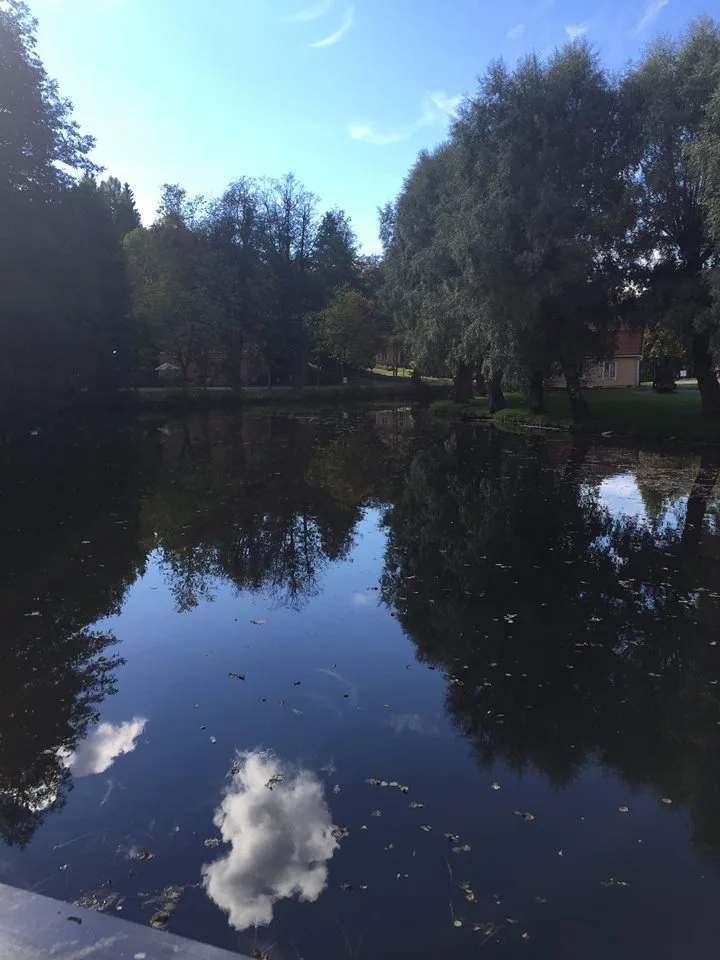 %ED%94%BC%EC%8A%A4%EC%B9%B4%EC%8A%A4-%EB%B9%8C%EB%A6%AC%EC%A7%80-4.jpg?zoom=1.25&amp;resize=700%2C933