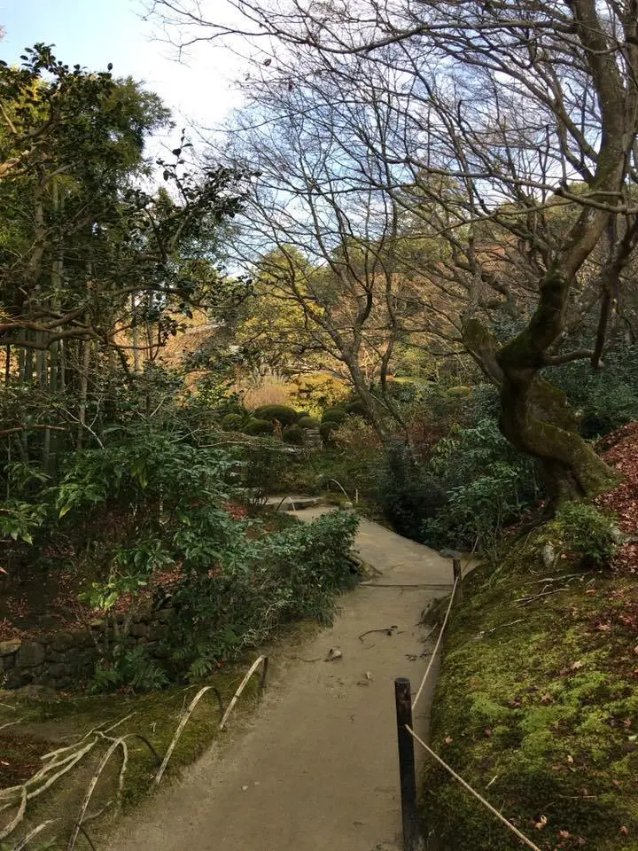 %EC%8B%9C%EC%84%BC%EB%8F%847.jpg?zoom=1.25&amp;resize=700%2C933