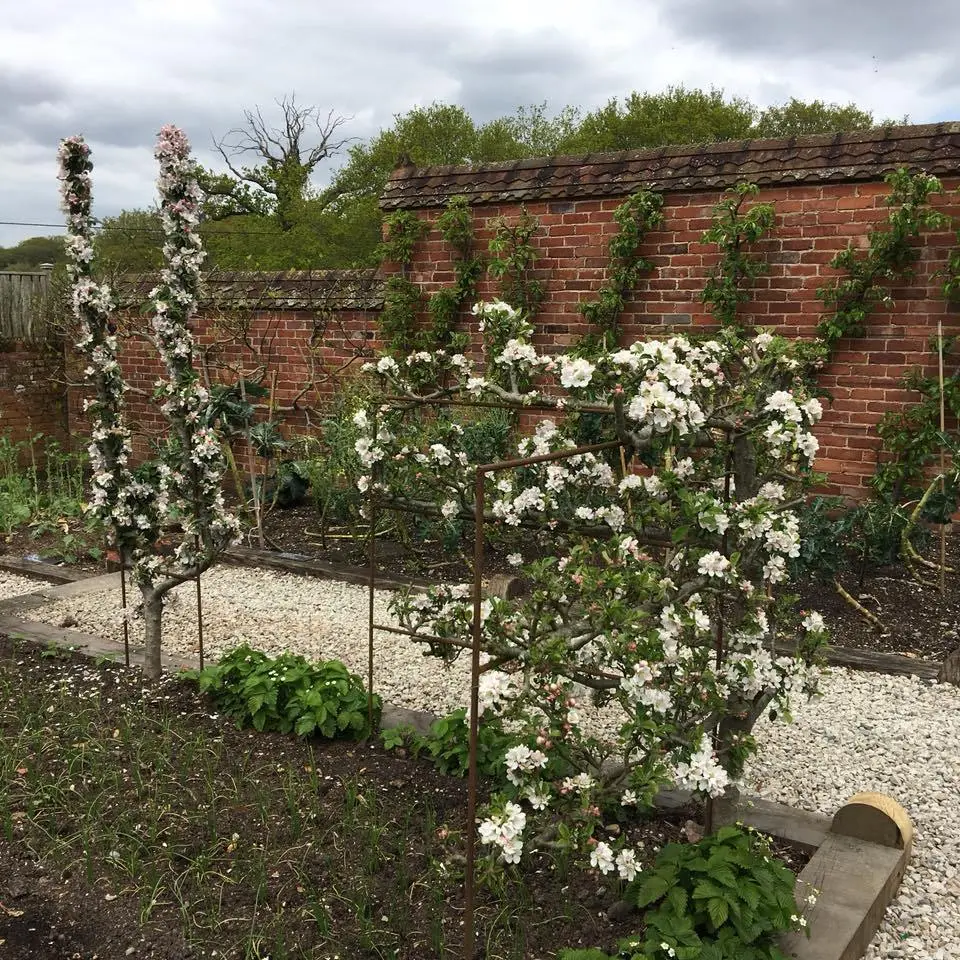 the-Pig%E2%80%99%EC%9D%98-%EC%82%BC%EC%8B%9C%EC%84%B8%EB%81%BC-16.jpg?zoom=1.25&amp;resize=700%2C700