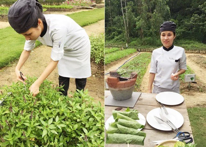 %EB%B2%A0%ED%8A%B8%EB%82%A8%EC%9A%94%EB%A6%AC1.jpg?type=w1200