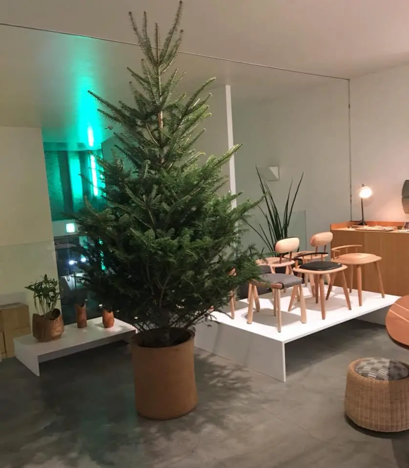 %EC%8A%A4%ED%8E%98%EB%9D%BC-%EB%B9%8C%EB%94%A9-4.jpg?zoom=1.25&amp;resize=700%2C801