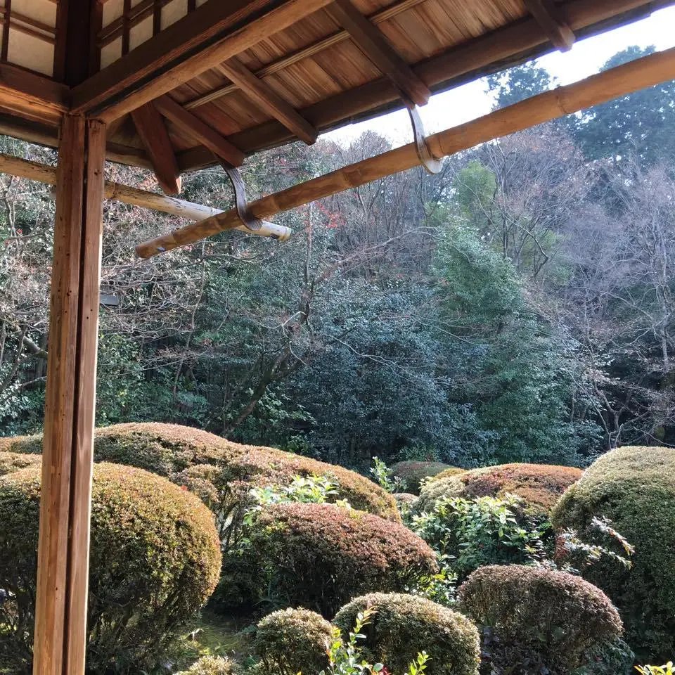 %EC%8B%9C%EC%84%BC%EB%8F%84-3.jpg?zoom=1.25&amp;resize=700%2C700