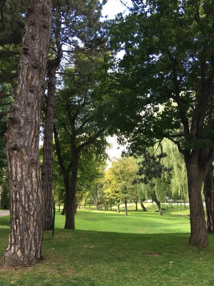 %ED%99%8B%EC%B9%B4%EC%9D%B4%EB%8F%84-%EB%8C%80%ED%95%99%EA%B5%90-9.jpg?zoom=1.25&amp;w=700