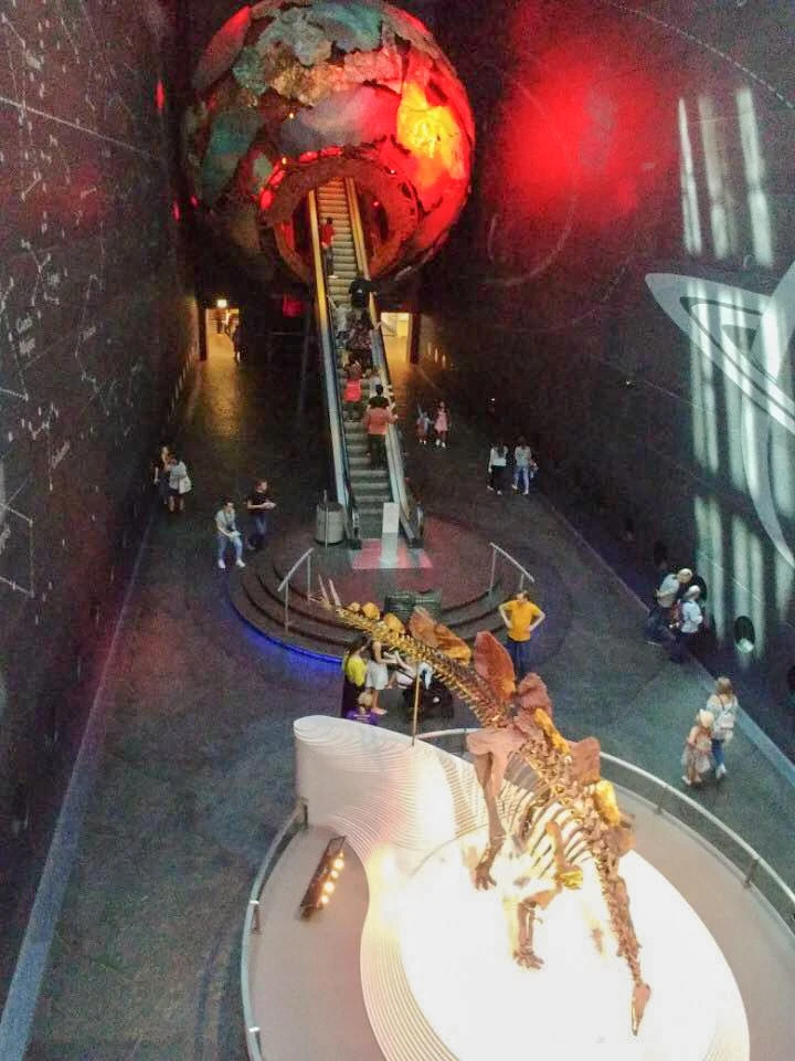 %EB%9F%B0%EB%8D%98-%EC%9E%90%EC%97%B0%EC%82%AC%EB%B0%95%EB%AC%BC%EA%B4%80%EA%B3%BC-%EC%82%AC%EC%9D%B4%EC%96%B8%EC%8A%A4%EB%AE%A4%EC%A7%80%EC%97%841.jpg?zoom=1.25&amp;w=700