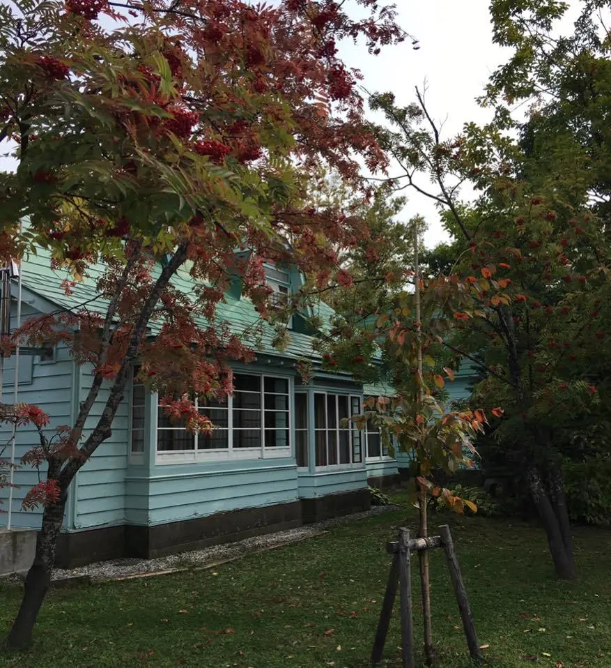 %EB%8B%88%EC%B9%B4%EC%9C%84%EC%8A%A4%ED%82%A4-12.jpg?zoom=1.25&amp;resize=700%2C765