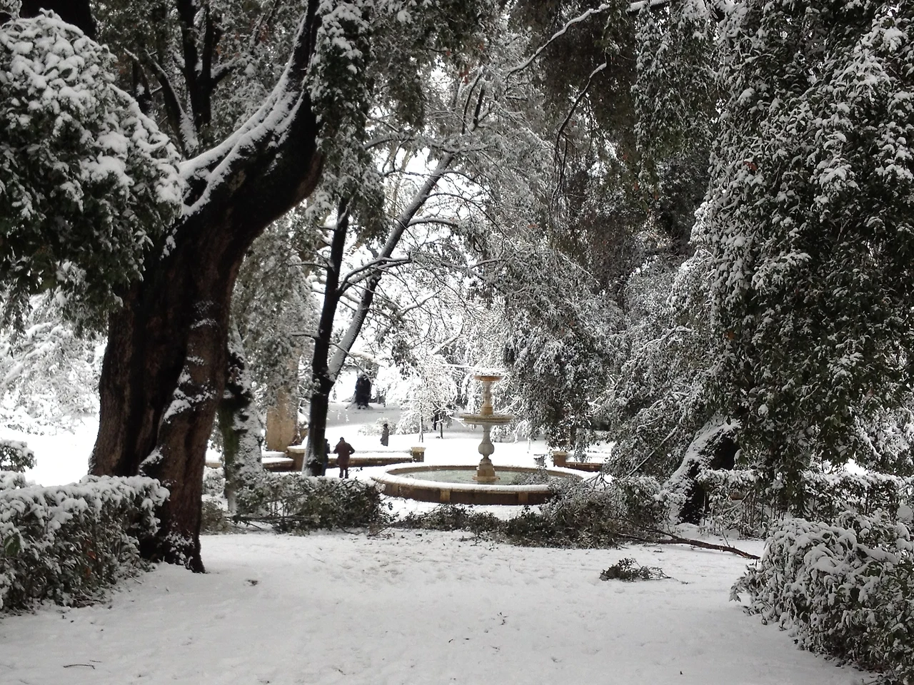 Rome-20121.jpg?zoom=1.25&amp;w=700