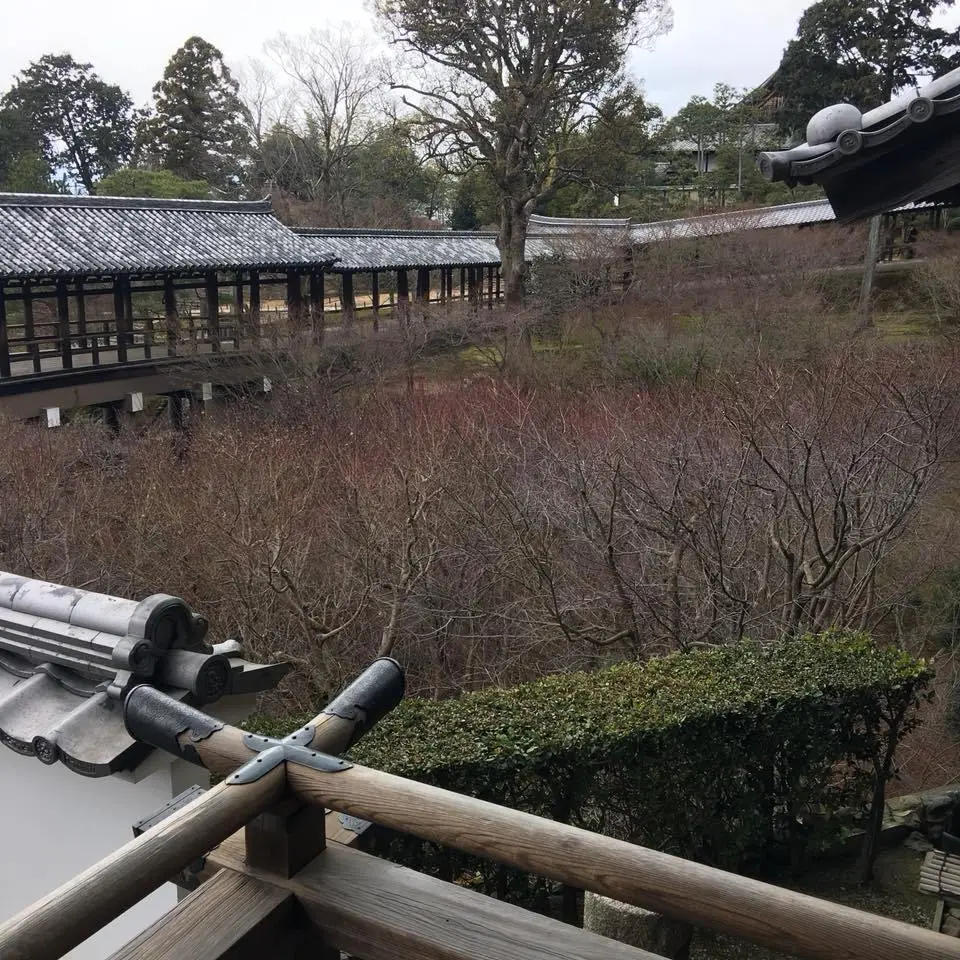 %EB%8F%84%ED%9B%84%EC%BF%A0%EC%A7%80%EC%9D%98-%EC%B2%9C%EA%B5%AD-%EA%B0%99%EC%9D%80-%ED%92%8D%EA%B2%BD-7.jpg?zoom=1.25&amp;resize=700%2C700