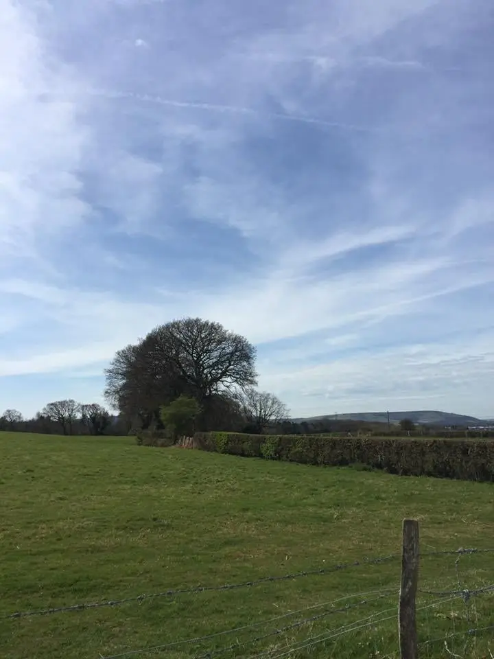 %EB%8B%89-%EC%9B%B9%EA%B3%BC-%ED%97%9B%EA%B0%84%EC%97%90%EC%84%9C-%EB%B3%B4%EB%82%B8-%EC%9D%B4%ED%8B%80-3.jpg?zoom=1.25&amp;resize=700%2C933