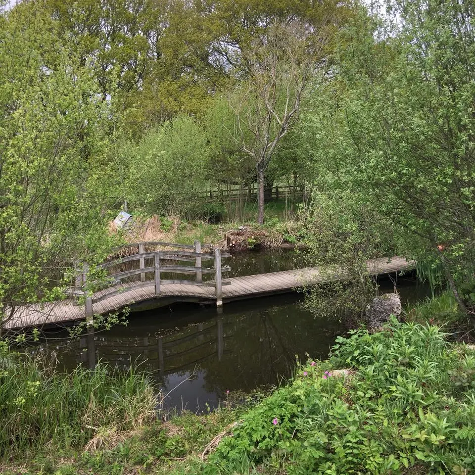 the-Pig%E2%80%99%EC%9D%98-%EC%82%BC%EC%8B%9C%EC%84%B8%EB%81%BC-17.jpg?zoom=1.25&amp;resize=700%2C700