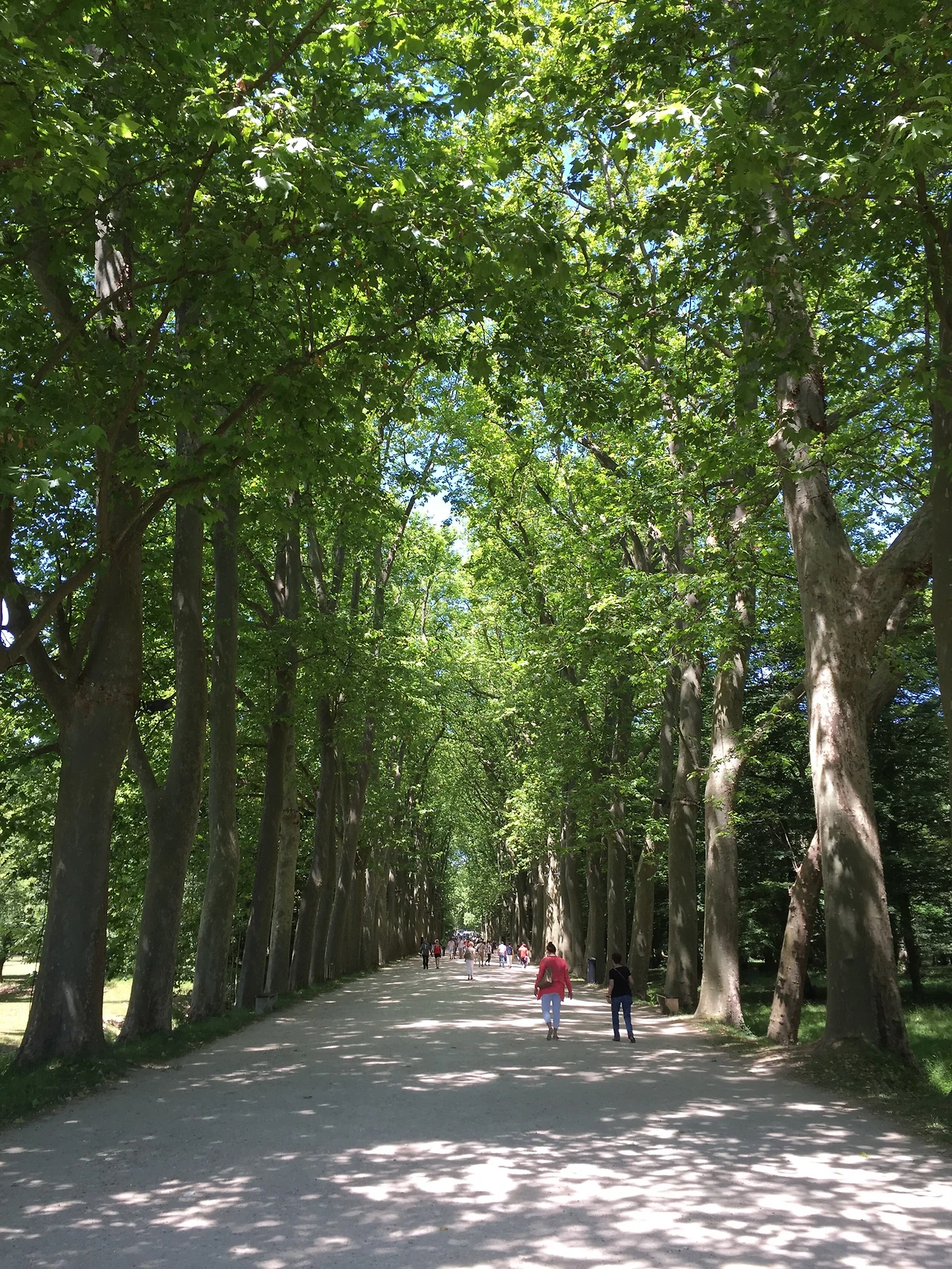 IMG_0304.jpg?zoom=1.25&amp;resize=700%2C933